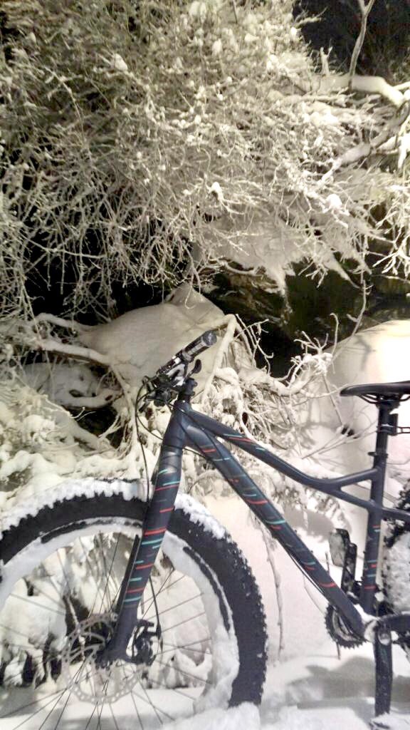 parrysoundbikes's tweet photo. Rides where only the @specializedwmn #Hellga will do! #fatbiking #adventureparrysound @tourtraintrek @explorersedge https://t.co/iJEXDwM0CX https://t.co/QV3NpD0t96