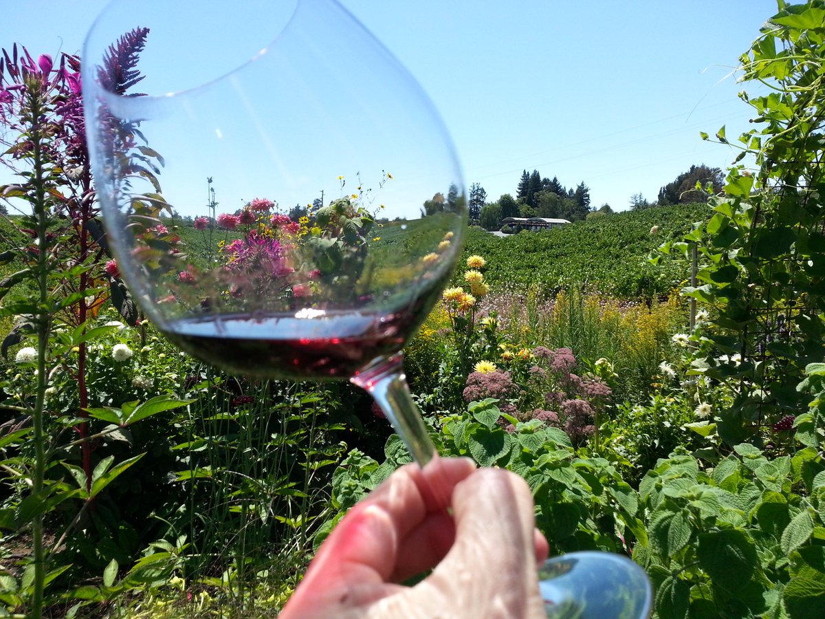 Lynmar Estate Wine Vineyard in Sebastopol