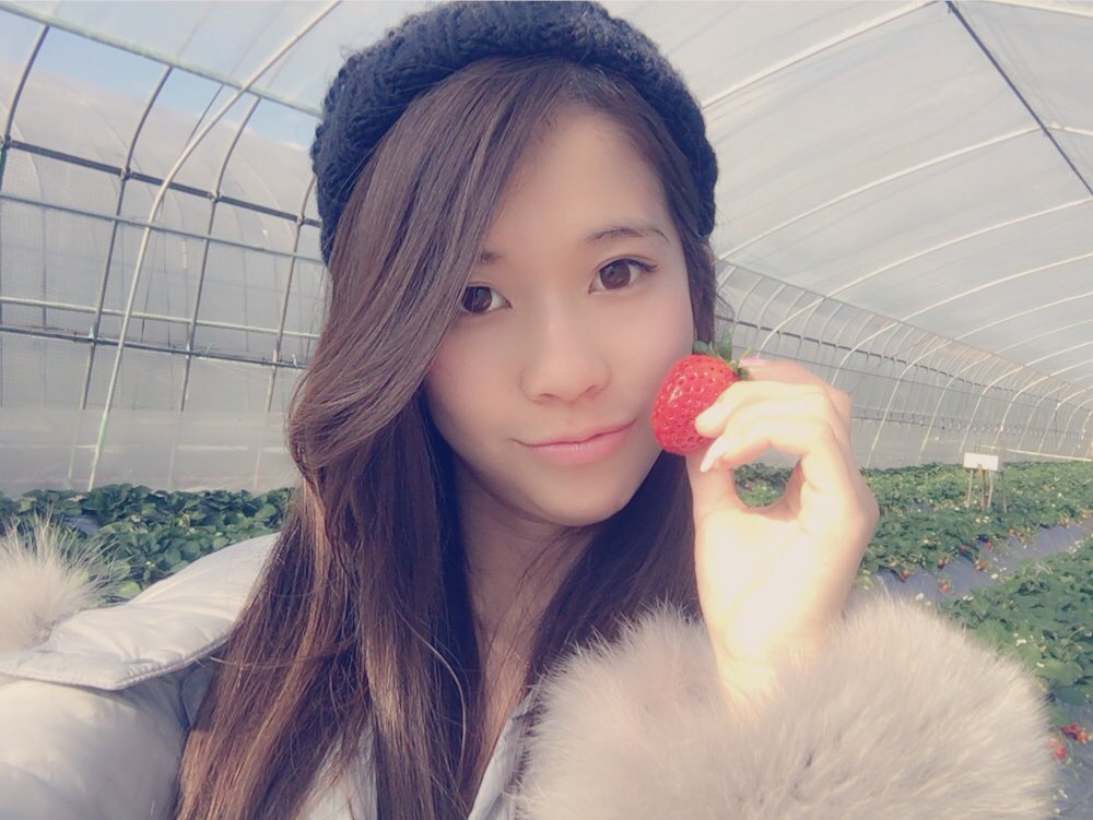 manaboo24's tweet photo. 正解はいちご狩りでした🍓🍓🍓✨
#いばらキッス 
#めちゃめちゃ甘い
#濃厚
#ジューシー
#風邪治った https://t.co/JAVpaiGdVc