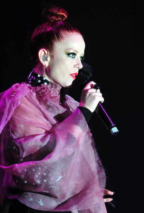 Garbania1's tweet photo. Por Ricardo Agustin Castro Paillafil 2012 #GarbageChile #shileymanson https://t.co/GYKXFD3qi6