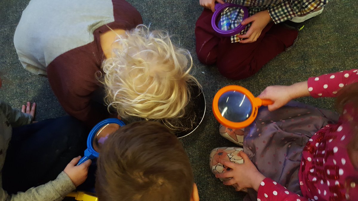 Soaringingrade3's tweet image. &quot;N is for Nest!&quot; Ask your child what words they know that start with letter N!  #CBEliteracy #haysborocuriosity #learningdetectives