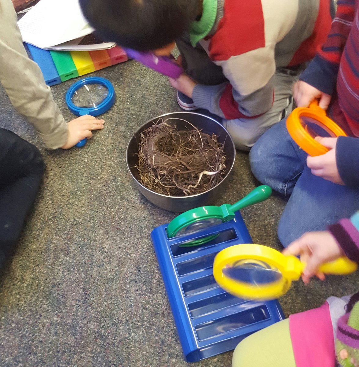 Soaringingrade3's tweet image. &quot;N is for Nest!&quot; Ask your child what words they know that start with letter N!  #CBEliteracy #haysborocuriosity #learningdetectives