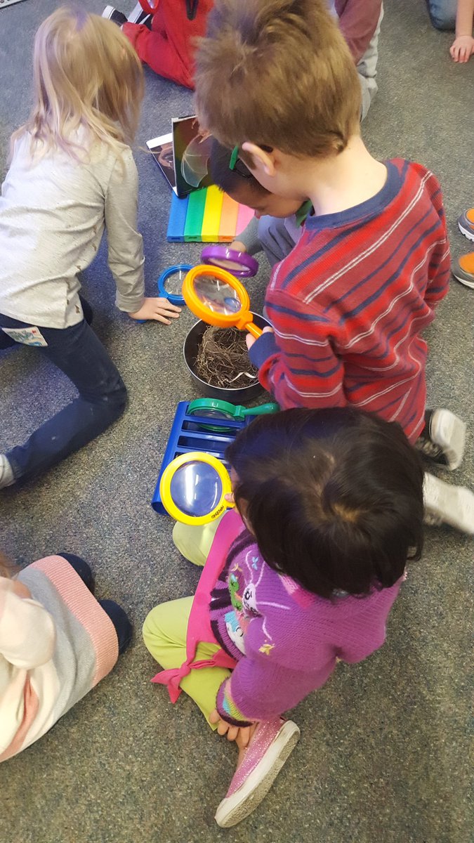 Soaringingrade3's tweet image. &quot;N is for Nest!&quot; Ask your child what words they know that start with letter N!  #CBEliteracy #haysborocuriosity #learningdetectives