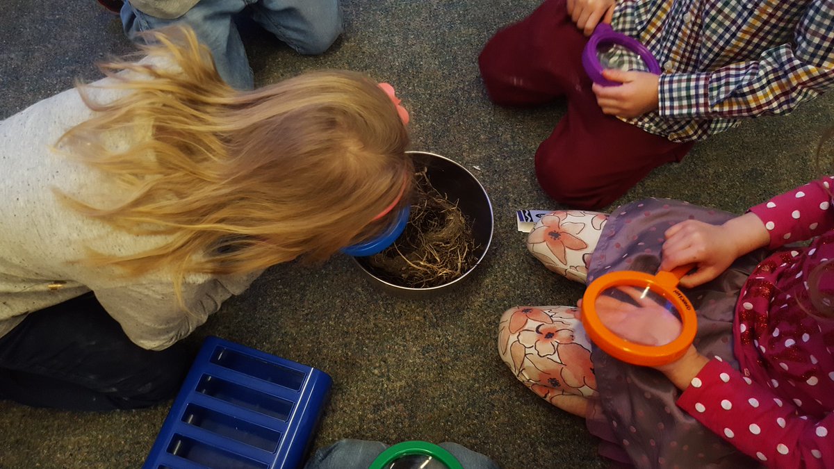 Soaringingrade3's tweet image. &quot;N is for Nest!&quot; Ask your child what words they know that start with letter N!  #CBEliteracy #haysborocuriosity #learningdetectives