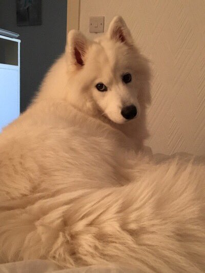 httpxi's tweet photo. https://t.co/rv7y0a0YeH