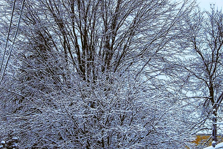 taijphotography's tweet image. Find beauty in the way things change . 💎