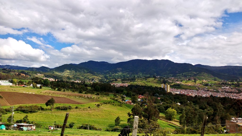 aloalema's tweet photo. #Mapachico #Pasto #CorazonDelMundo  #Enero #felicidad https://t.co/xZt9Z23zkD
