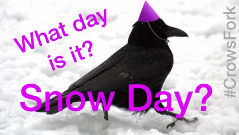 CrowsFork's tweet image. Got milk? A lil bird said it&apos;s snowing! #snowday #crowsfork #midmowx