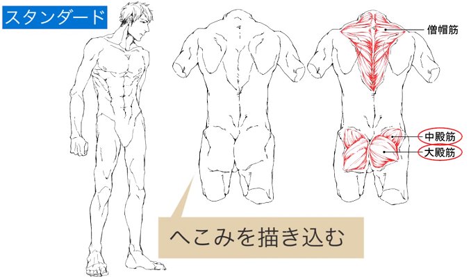 お絵かき講座パルミー 学生応援キャンペーン開催中 男性キャラの体型の描き方講座 男性キャラの体の描き方 について 様々な男性のイラストを用いて解説する講座です 体型と年齢に応じて体を描きわける際のコツや細身 アスリートまで様々な体型を紹介