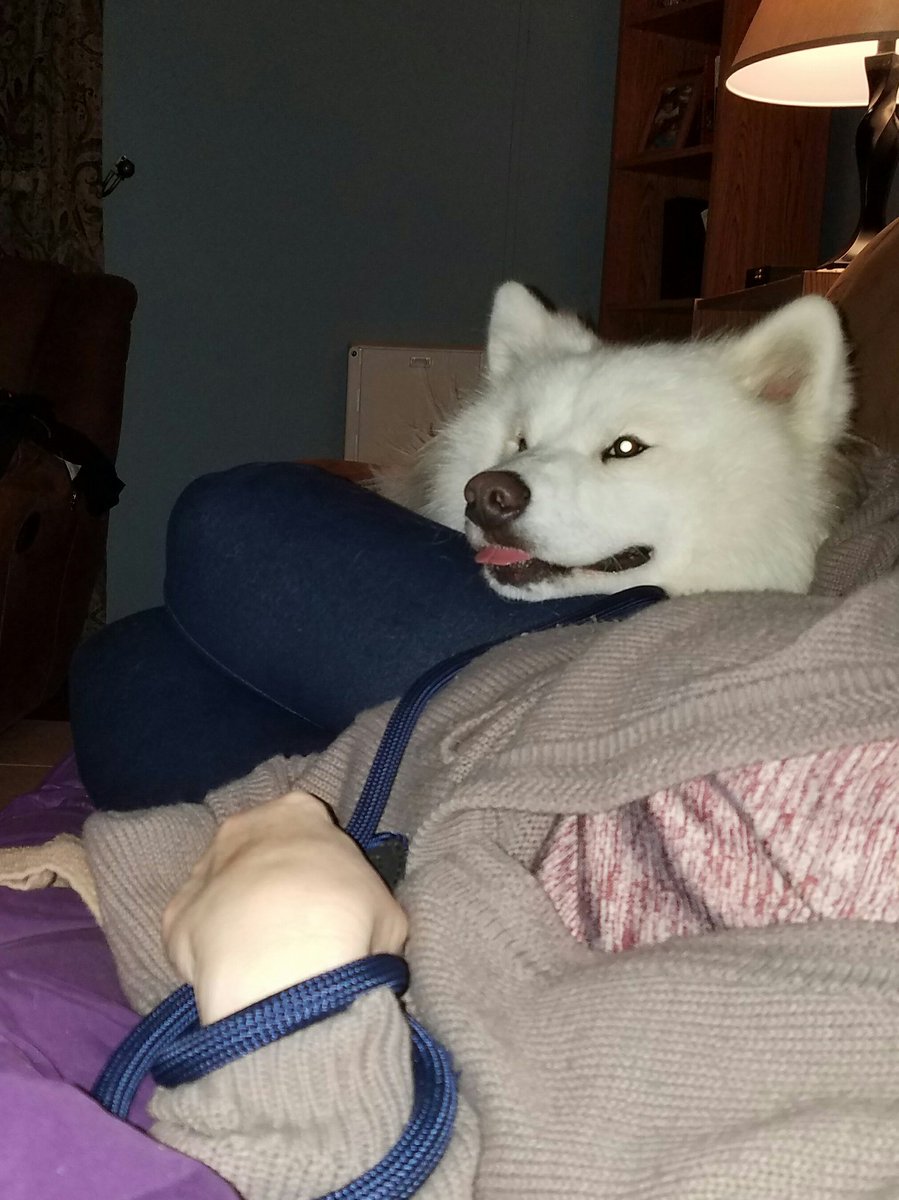 jadenonthedaily's tweet image. When you cuddling with Bae at a party an spot his ex keep staring