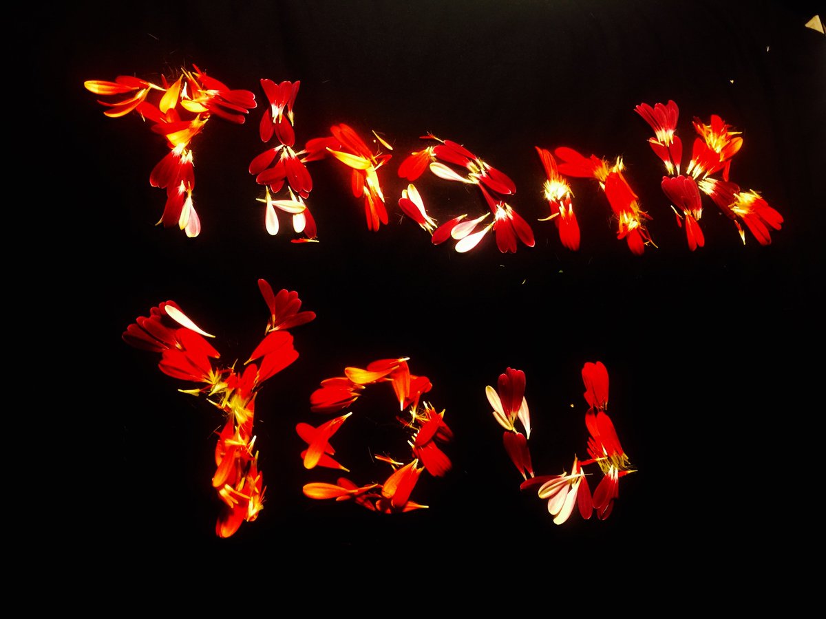 Polar Bear (@polarbear_uk) on Twitter photo 