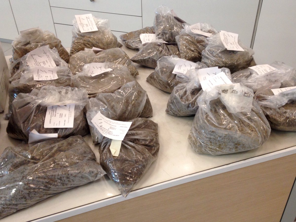 VassanelliFood's tweet photo. Nel nostro #laboratorio inizia l'anno con alcune #analisi del #terreno agricolo. #agronomy #monitoraggio https://t.co/LQEbKTkXEL