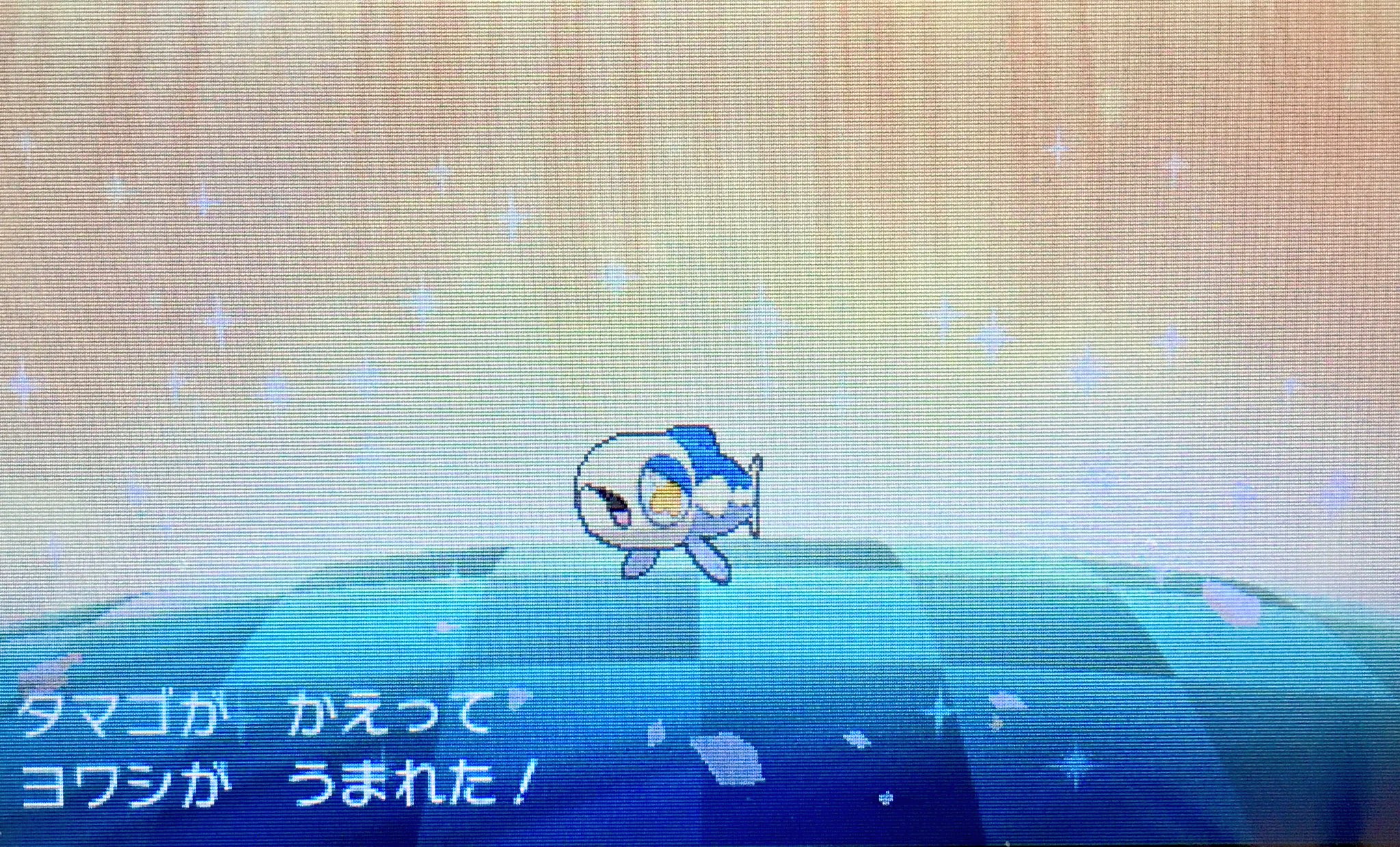隼レイカ はやぶさの色違いヨワシが生まれました ポケモンサンムーン 色違いポケモン T Co Khwruzbj8t Twitter
