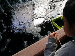 東京おすすめ釣り堀11選 手ぶらや子供 カップルも楽しめる釣り堀をご紹介 暮らし の