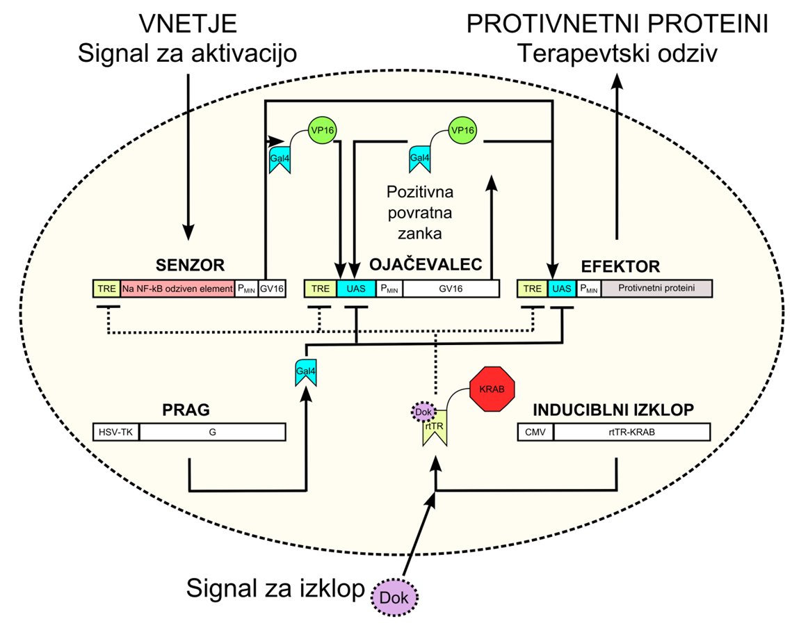 BiotehNIC's tweet photo. Avtonomno zaznavanje bolezni in proizvodnja zdravil ? Celična terapija, fikcija ali prihodnost medicine ? https://t.co/9K6l1IQRI5 https://t.co/szwUqxokBr