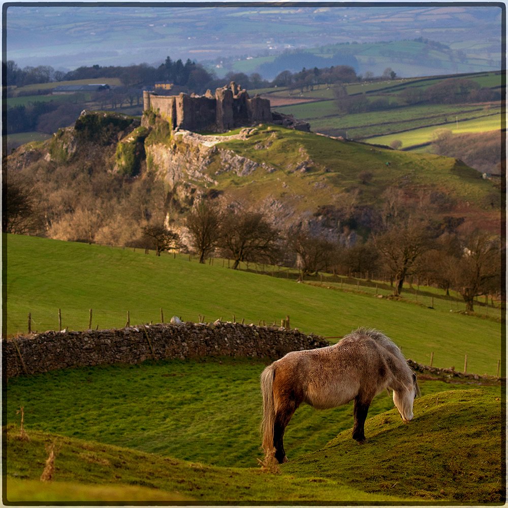 A view of the #BreconBeacons on Tuesday, #horse in foreground,  #CarregCennenCastle in the background. #Landscape #Wales