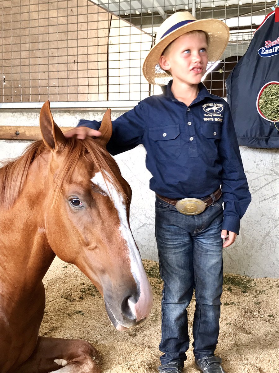 KenmoreLodge's tweet photo. Lot 92 Sebring colt ex Holly zou enjoying  some attention from Rhys Bond. 2 cute colts  . @MrsKCP @mmsnippets @widdenstud #prydes https://t.co/lOOmujJS3L