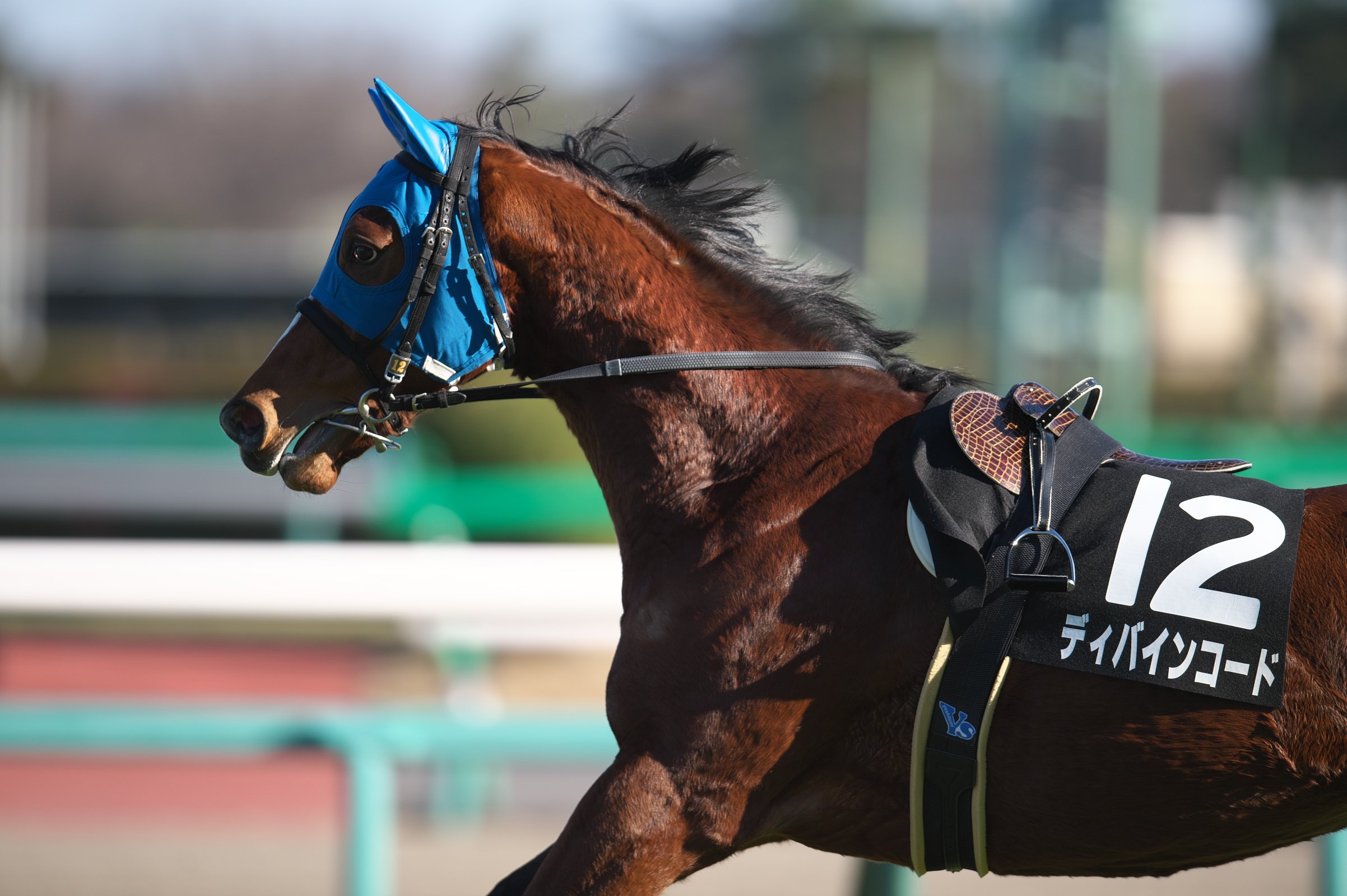 あるまく どうみても勝っているディバインコードと放馬 T Co 7g1uqavkcy Twitter