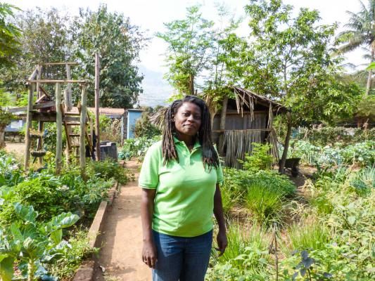 GFC_forests's tweet photo. Tanzanian farmers are facing heavy prison sentences if they continue their traditional seed exchange https://t.co/cNkpmTZn4R #humanrights https://t.co/Y9VrUMAwS6