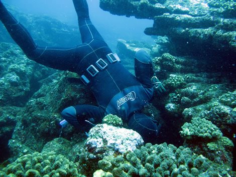 Roberto (@cinqueroberto1) on Twitter photo 