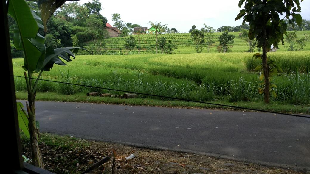 LENSA LAWU tweet media