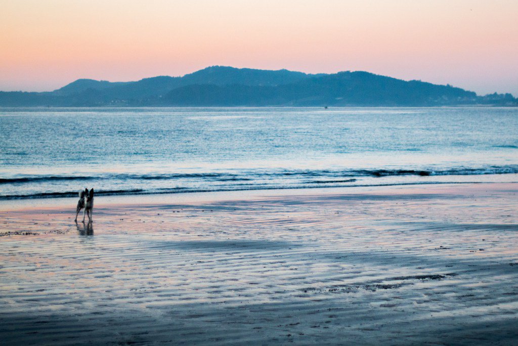 RebeCampo's tweet photo. Atardecer en Samil https://t.co/CT8JXYlzZz https://t.co/vjRVYe0Ugk