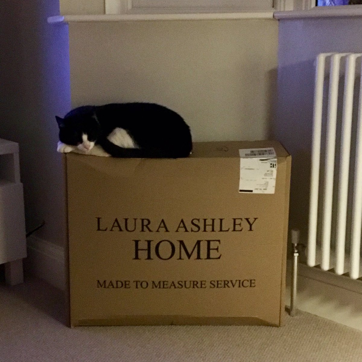 Delordy81's tweet photo. The cat is looking after our @LauraAshleyUK curtains ready to go up this weekend #cosy #madetomeasure #worththewait https://t.co/Gqt1TZtxoO