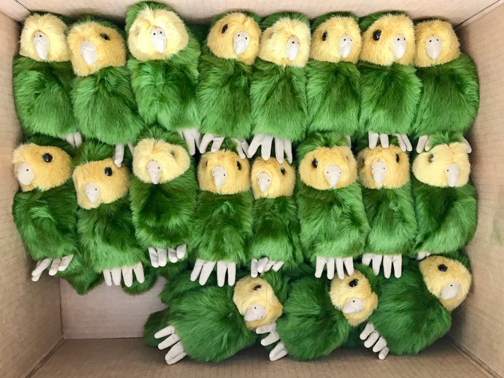 kakapo plush toy