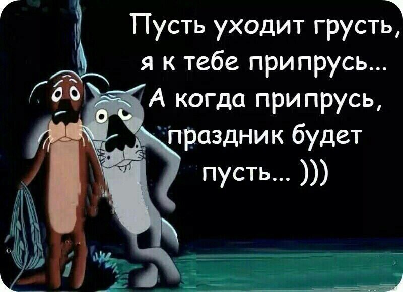 Этот день я буду праздновать в продолжение. Смешные высказывания. Смешные афоризмы. Высказывания смешные и прикольные. Смешные фразы.