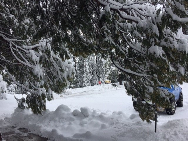 Stanislaus_NF's tweet photo. Over 2.5 ft. of snow at 5600' elev. #PinecrestCA #Highway108 https://t.co/nzMA7f0zDp