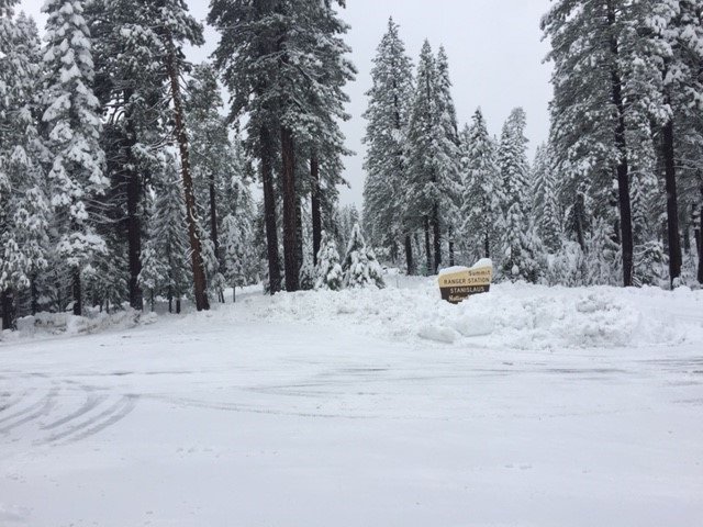 Stanislaus_NF's tweet photo. Over 2.5 ft. of snow at 5600' elev. #PinecrestCA #Highway108 https://t.co/nzMA7f0zDp