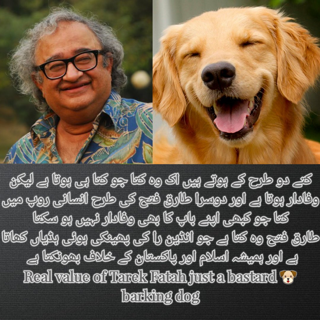 Mr_Alam0201's tweet photo. The world's cursed man #TarekFatah
#WhoAreTheyDefending
 #الزامزادوبندکروبکواس
 #ایکــنظر_دیکھ
 #سب_سے_پہلے_پاکستان
#NeedOfNationalUnity https://t.co/E1STGT4hFg