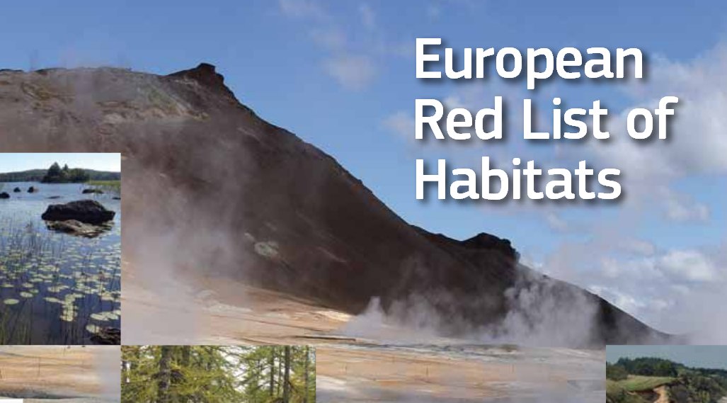 download imaging of the hip bony pelvis techniques and