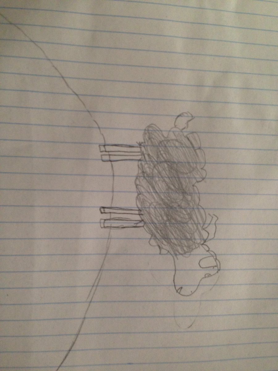 rosolano2's tweet image. #HPCCM #dibujameunaovejita