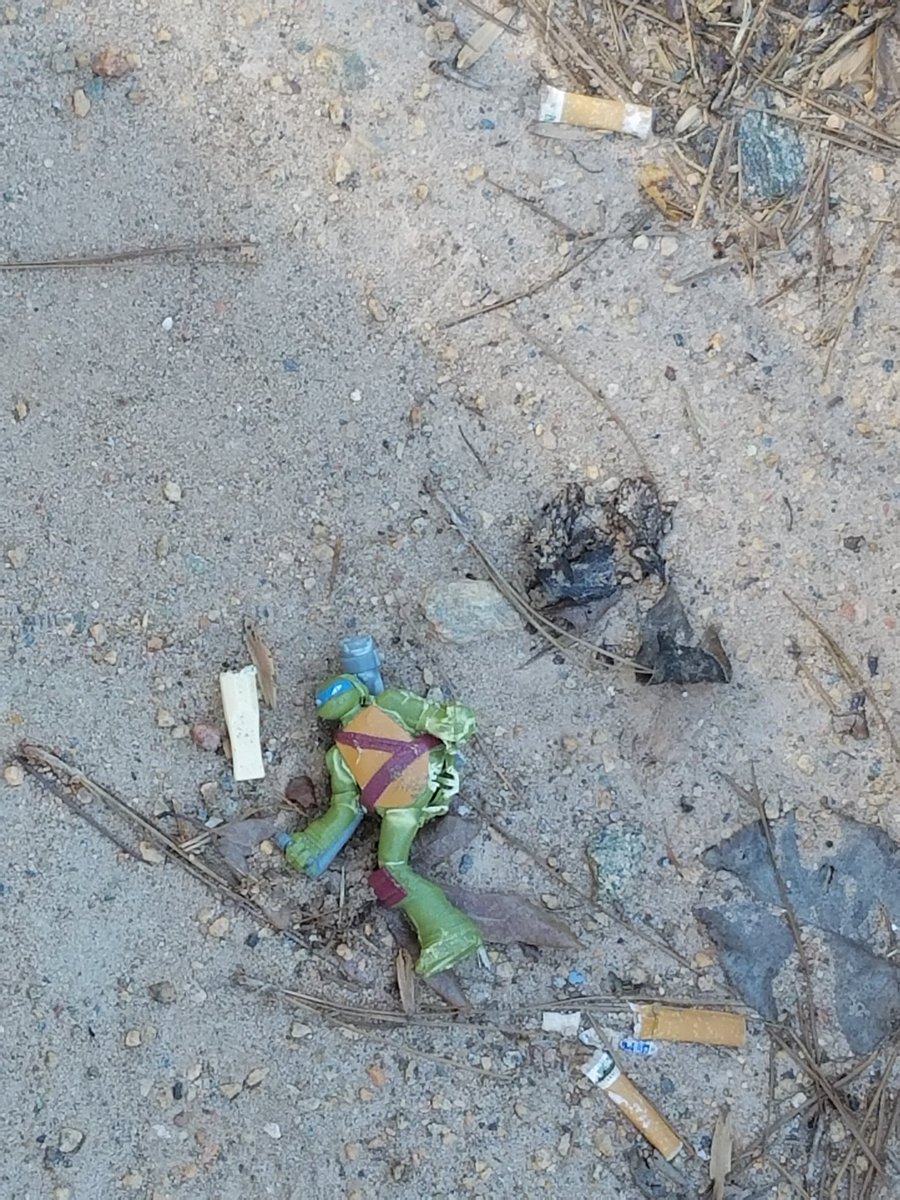 BethanyModern's tweet photo. Leonardo had a rough night.
#TMNT https://t.co/GoYOzu9TjI