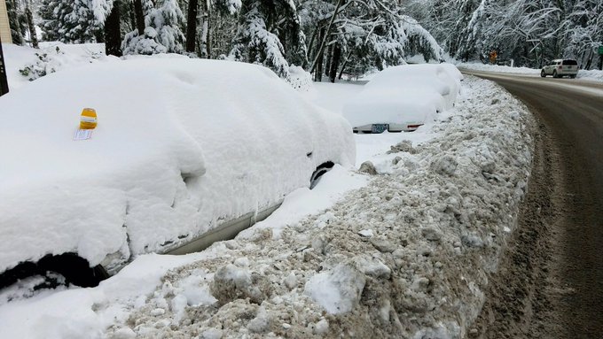 View image on Twitter View image on Twitter