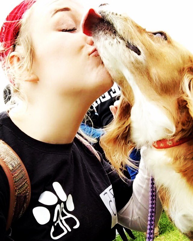 AnimalEvalution's tweet photo. 🔸💋 Happy #NationalKissAGingerDay 💋🔸#Ginger #CockerSpaniel #dogsoftwitter #ThrowbackThursday  #pet #dog #puppy #gingerday #dogfriendly 🐶❤ https://t.co/133OBq2sji
