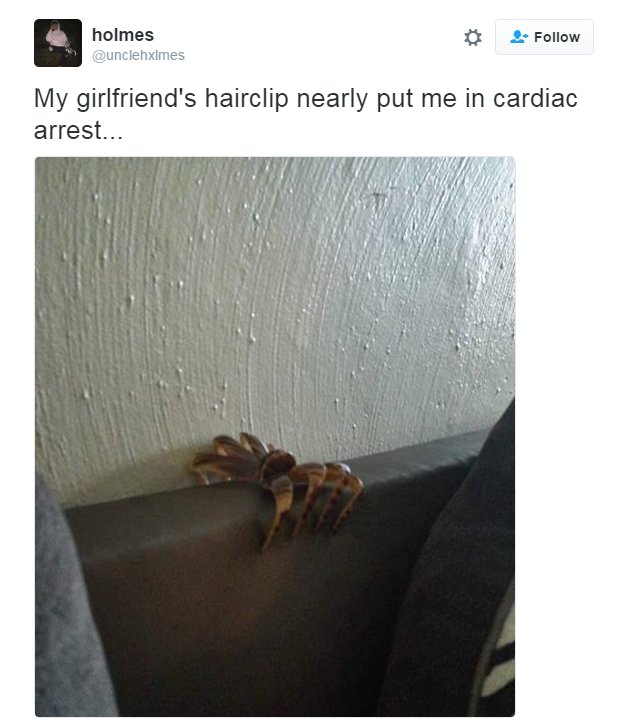 ladbible's tweet image. This freaked me out for a second...