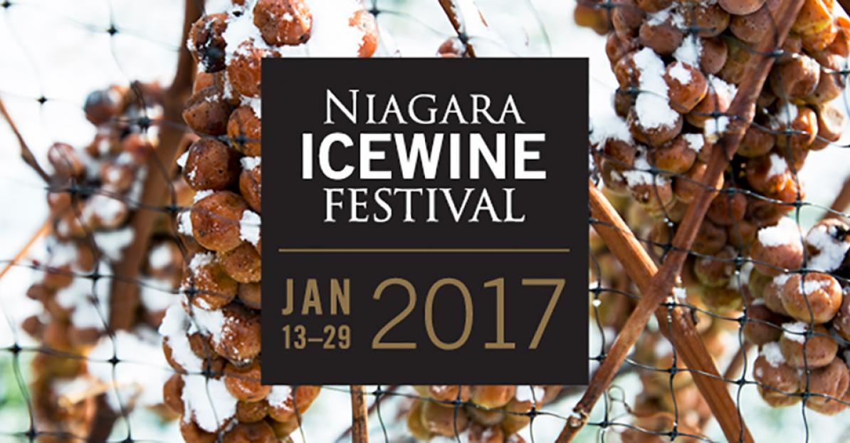 MagTourNiagara's tweet photo. Join us this weekend! Enjoy pairings of Niagara's finest wines &amp; seasonal culinary creations! https://t.co/QoF1O5lStE https://t.co/knnTSpMHj8