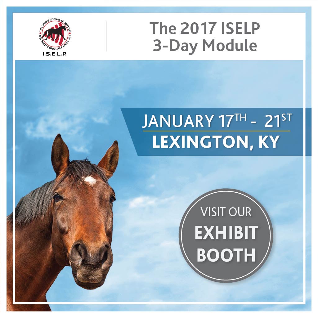 MultiRadiance's tweet photo. Say hi to Mark Strong at the first @ISELPvets 3-day module of 2017. #ISELP #equine https://t.co/Fuue9ZBFFM https://t.co/hZRaLTb8zu
