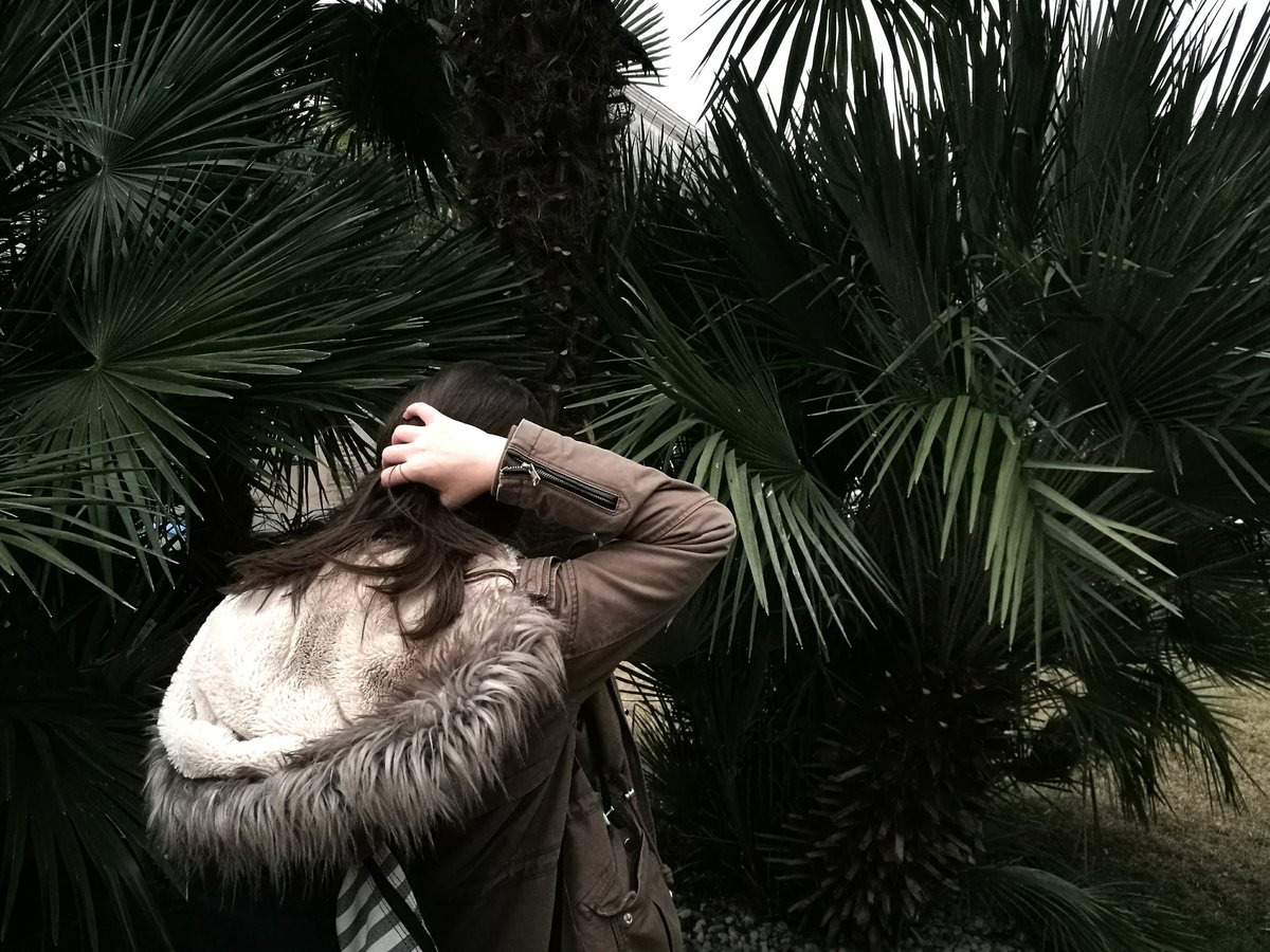 zan_igrec's tweet photo. I'M BACK !!
_WILDERNESS_
.
.
#photography #green #palmtree #no1 #friends https://t.co/s14PbVjOcg