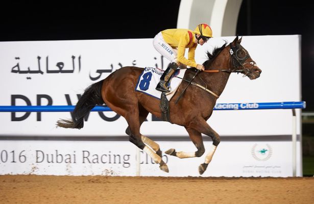 pigeon_island's tweet photo. 11YO REYNALDOTHEWIZARD waves his @DRC_Meydan wand yet again to reel in MUARRAB for Dubawi Stakes #VeteranVictory beating his juniors https://t.co/GqHRe9IDF1