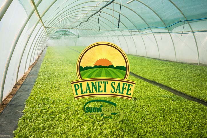 WeArePlanetSafe's tweet photo. Planet Safe SumaGrow has shown the ability to increase and improve water efficiency of crops https://t.co/W0qfGNIYTF #MANTS2017 https://t.co/nPRDkXS6nn