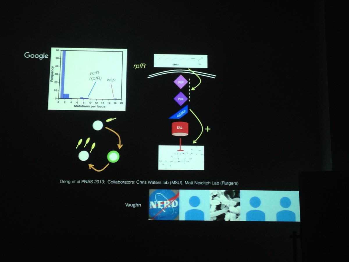 download the exposome a primer 2014