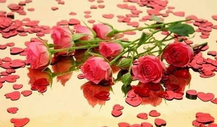 Olmadı diye sızlandığın duaya,
Gün gelir olmadı diye,
Şükredersin...

Hz. Şems