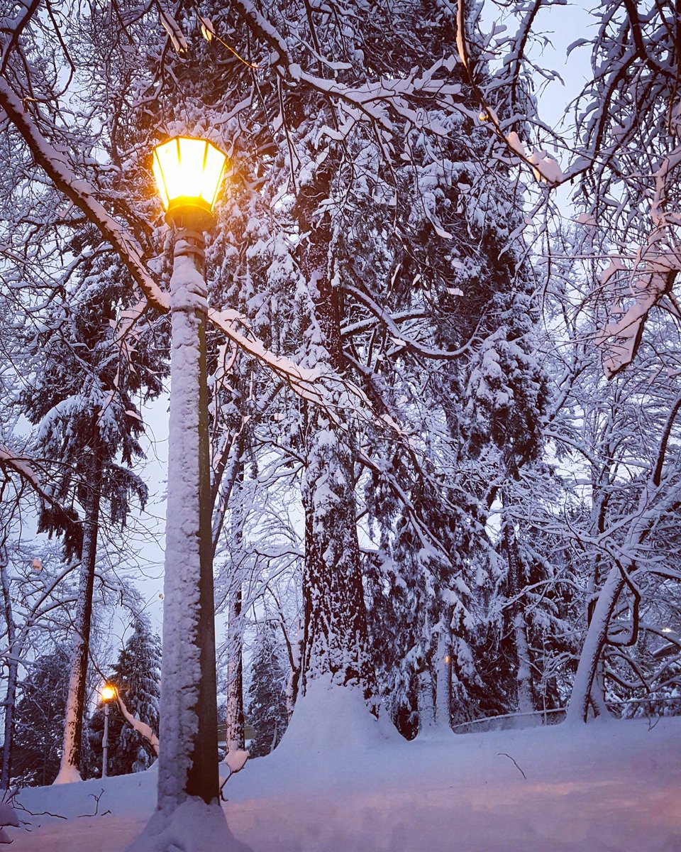 OvermillerT's tweet photo. Real life Narnia in Lair Hill
°
°
°
#lairhill #Portland #PDX #pnw #Portlandia #snow #snowday #snowpocalypse #snowpdx #pdxsnow #PortlandSnow https://t.co/GFn7q08FHV