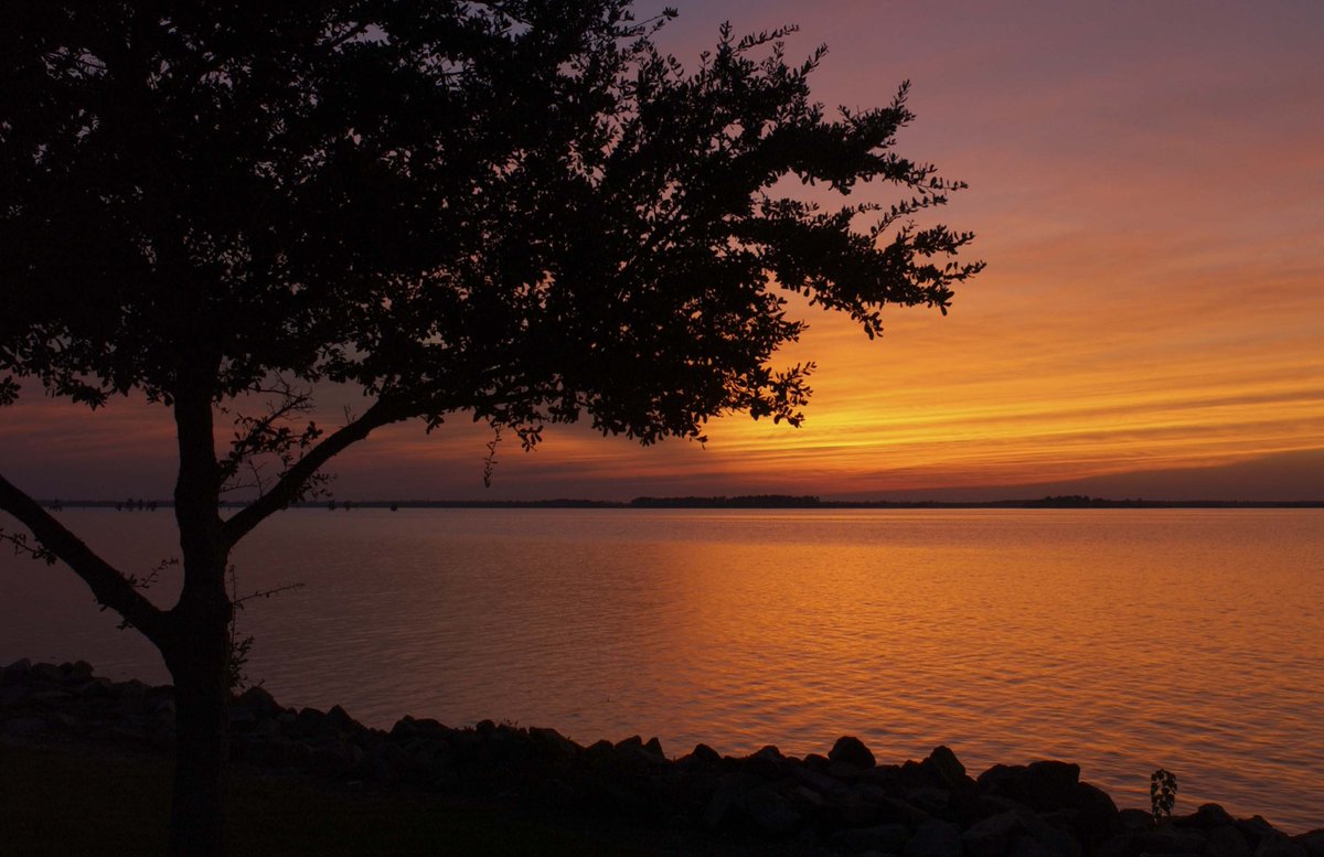 santeecooper's tweet photo. #SanteeCooper is accepting offers of waterfront lots in Calhoun, Clarendon, Orangeburg & Berkeley counties. #SClakes https://t.co/KKV6q24zA5 https://t.co/4XUy9zcWUd
