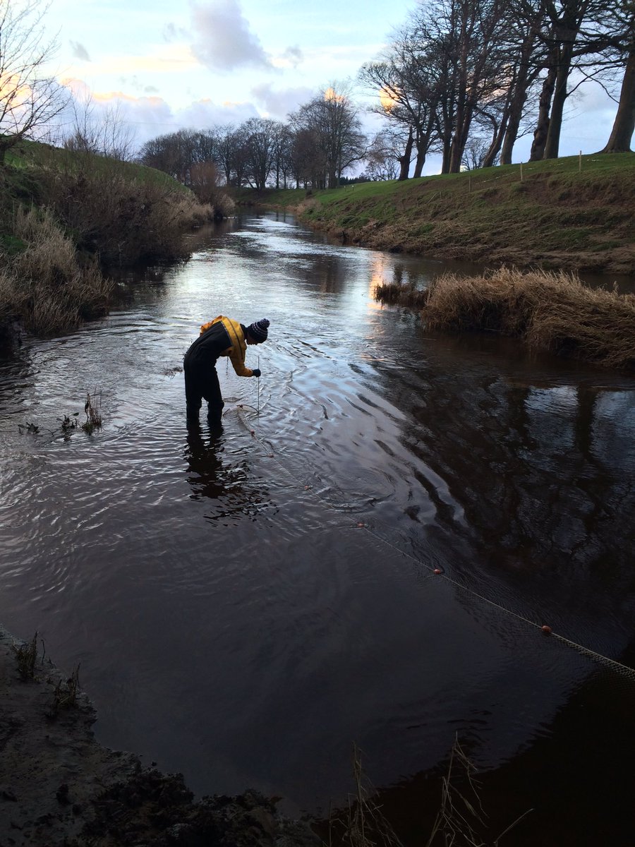 TM_WRT's tweet photo. Great to get fyke nets set this PM as our #SearchForSmelt continues. Also, first outing for @hammond_drysuit, great piece of kit. #Toasty https://t.co/bgHVq7Cwo8