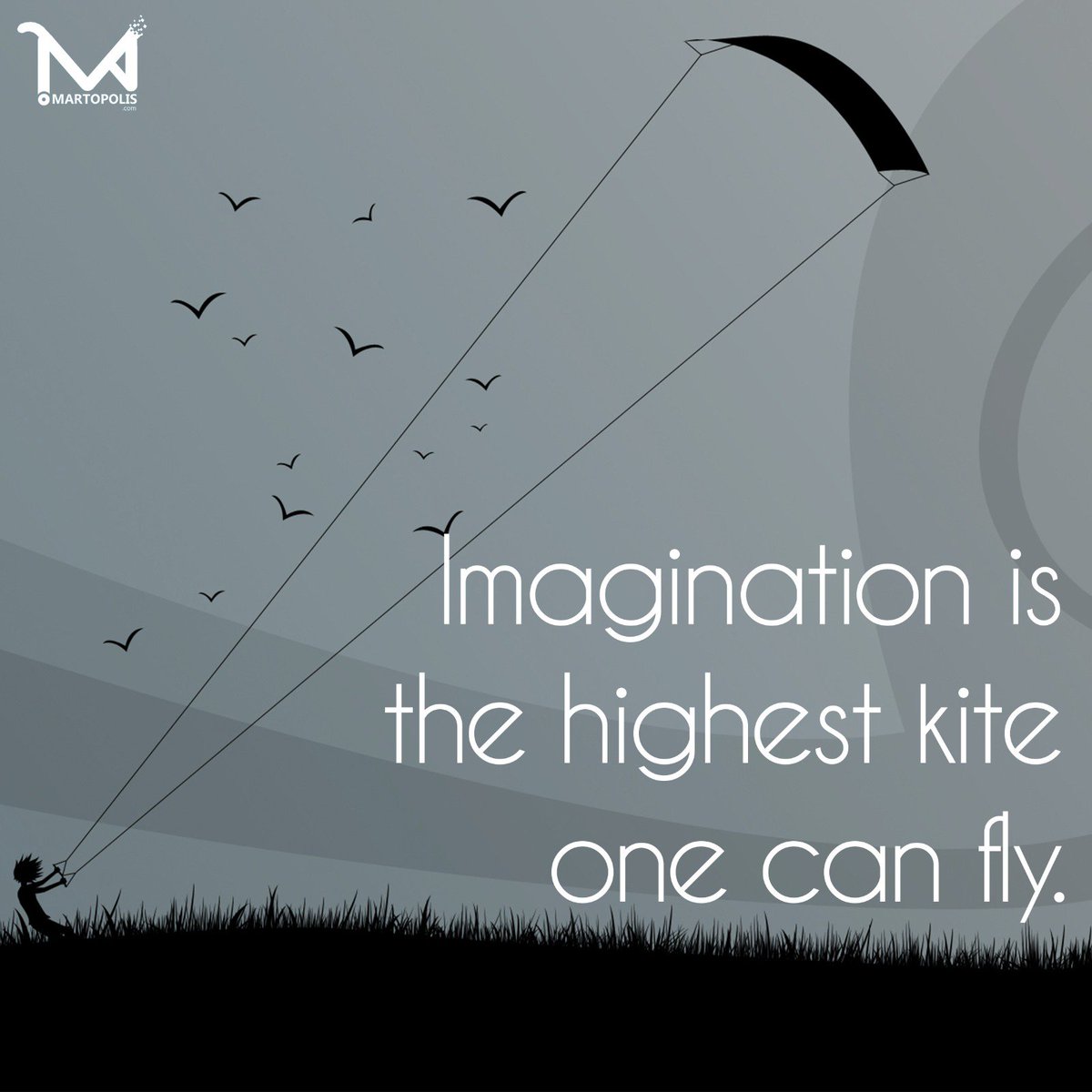 adityashubham01's tweet photo. @BestPixMN Great day today. #krazykites #martopolis https://t.co/mMOnJD4v9w