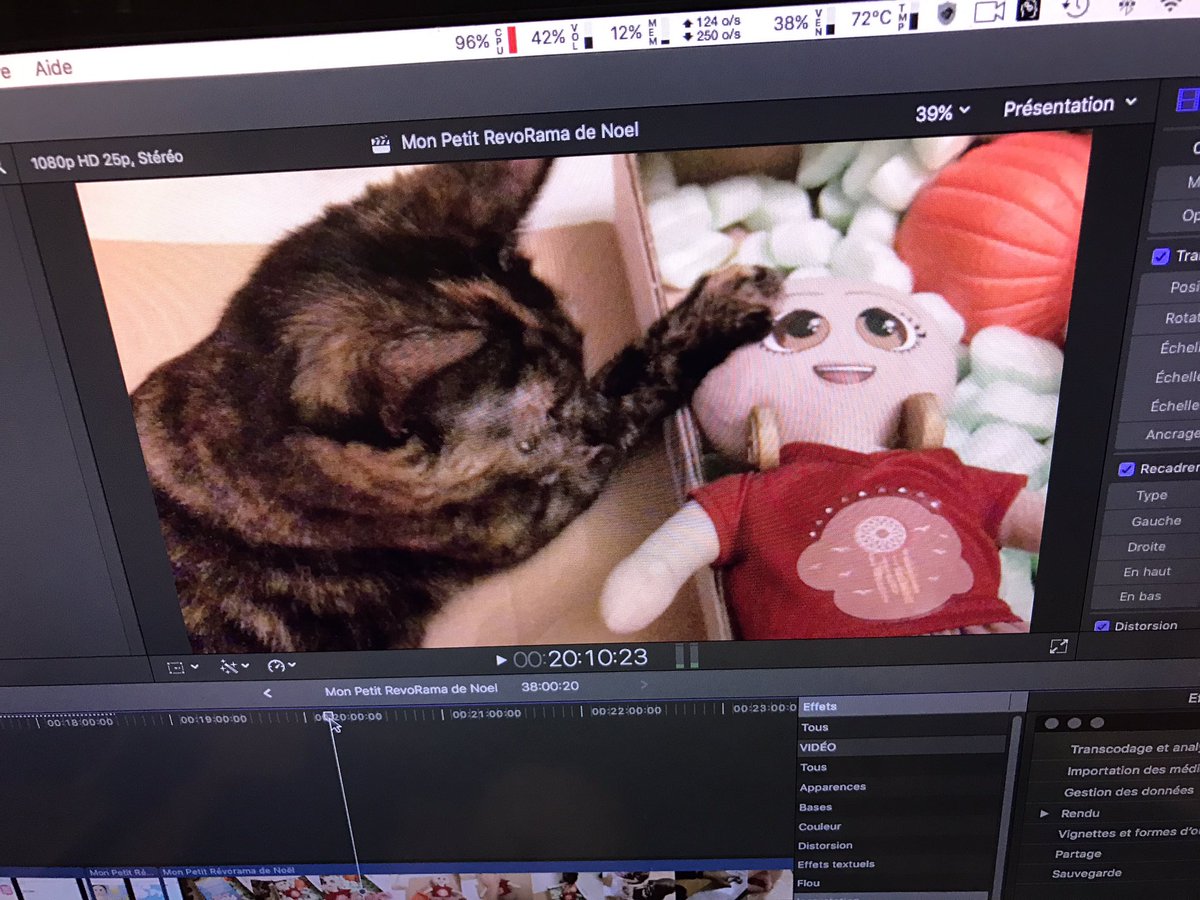 Princesse_Kaya's tweet photo. @LeRevoRama @leopoldine_ @alienor_ Aucun @Pycoo_fr n'a été blessé durant le tournage. 😻 https://t.co/xzx4pw2zYJ